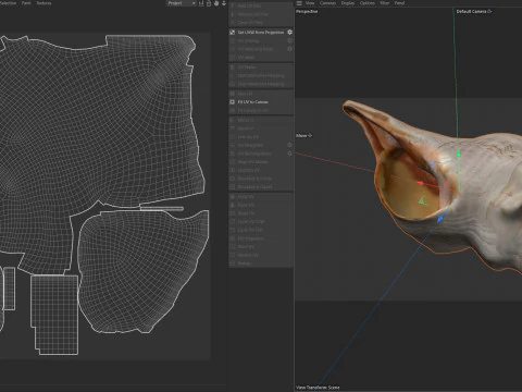 Concha de cavalo Modelo 3D