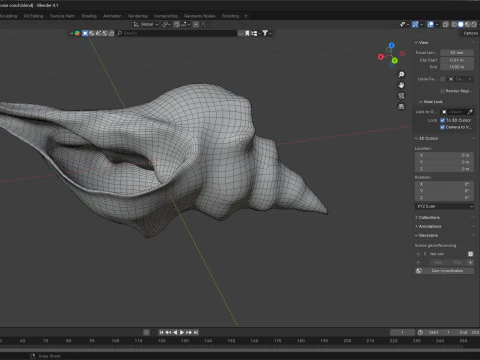 Concha de cavalo Modelo 3D