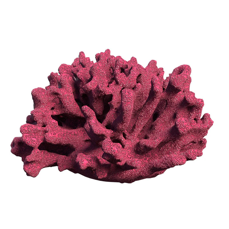 Coral reef V1 3D Model .c4d .max .obj .3ds .fbx .stl .blend 