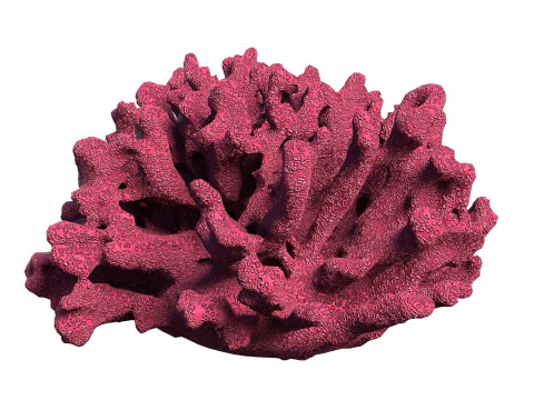 Koraalrif V1 3D Model