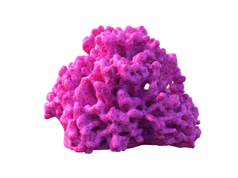 Recife de coral v2 Modelo 3D