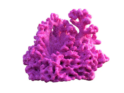 Recife de coral v2 Modelo 3D