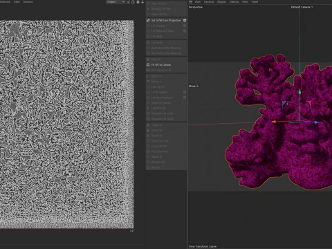 Recife de coral v2 Modelo 3D