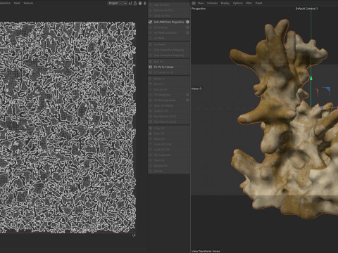 Coral reef v3 3D Model