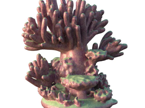 산호초 v4 3D 모델