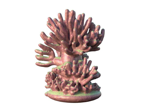 Coral reef v4 3D Model