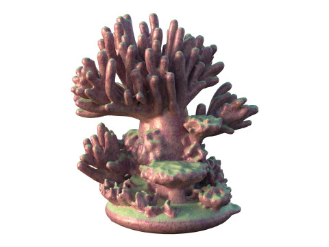 Coral reef v4 Modelo 3D