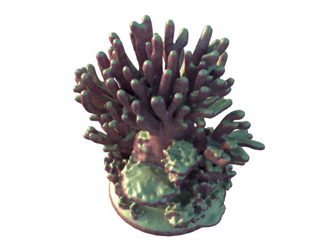 Coral reef v4 3D Model