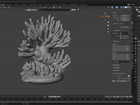Coral reef v4 Modelo 3D