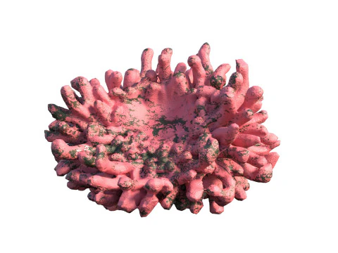 Coral reef v5 3D Model