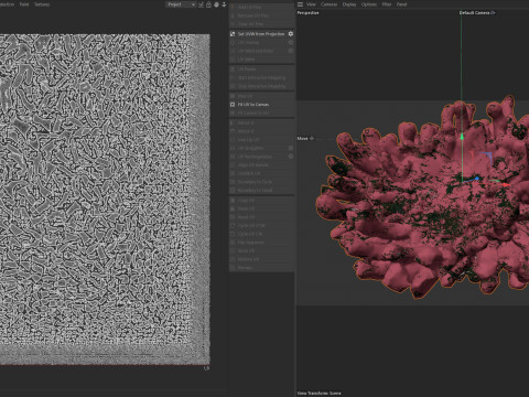 Coral reef v5 Modelo 3D