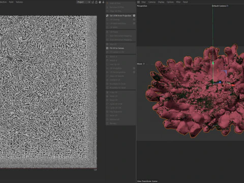 Coral reef v5 3D Model