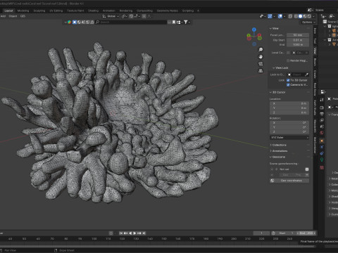 Coral reef v5 Modelo 3D