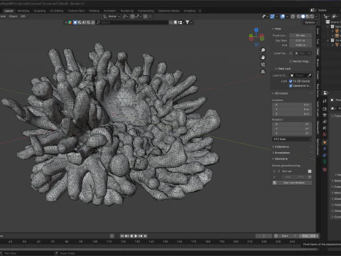 Coral reef v5 3D Model