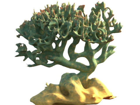 Koraalrif v6 3D Model