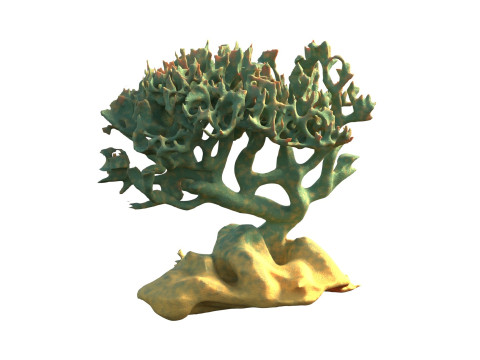 Coral reef v6 3D Model