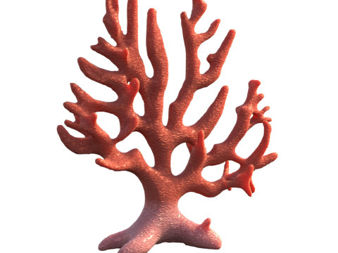 Coral reef v7 Modelo 3D