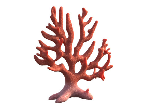 Coral reef v7 Modelo 3D
