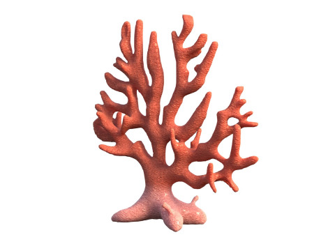 Coral reef v7 Modelo 3D
