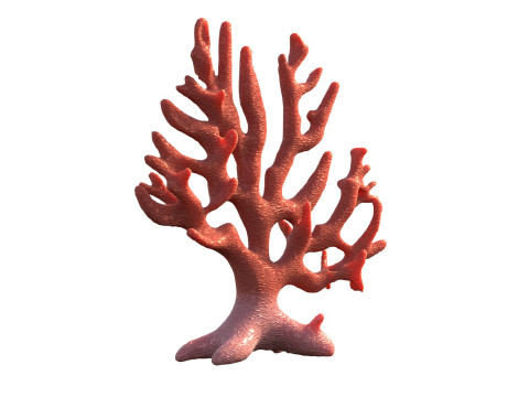 Coral reef v7 Modelo 3D