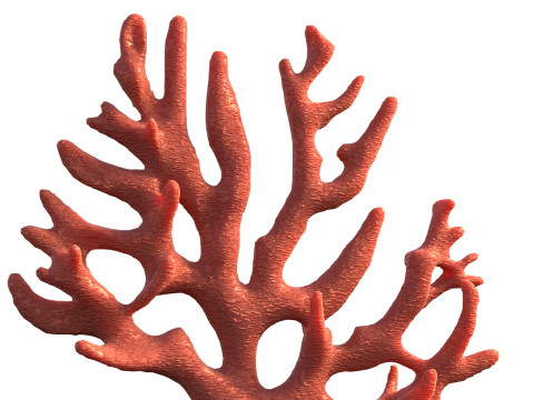 Coral reef v7 Modelo 3D