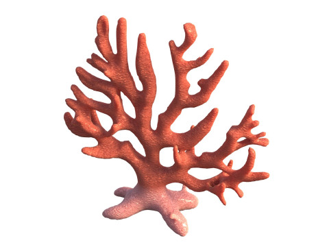 Coral reef v7 Modelo 3D