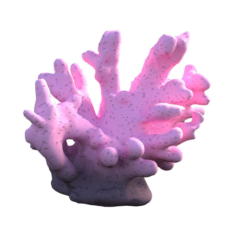 Coral reef v8 3D Model .c4d .max .obj .3ds .fbx .stl .blend 
