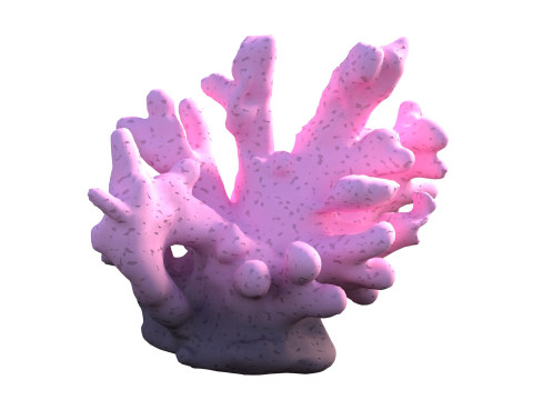 Coral reef v8 3D Model