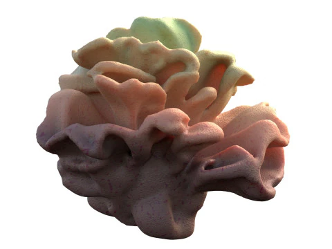 Recife de coral v9 Modelo 3D