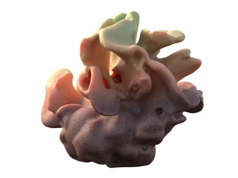 Recife de coral v9 Modelo 3D