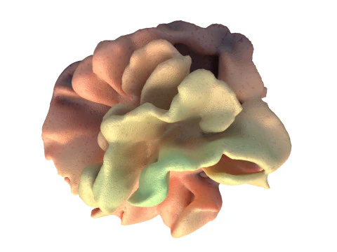 Recife de coral v9 Modelo 3D