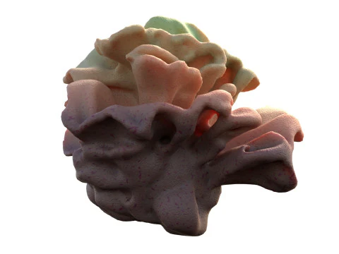 Recife de coral v9 Modelo 3D