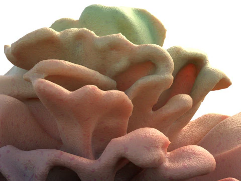 Recife de coral v9 Modelo 3D