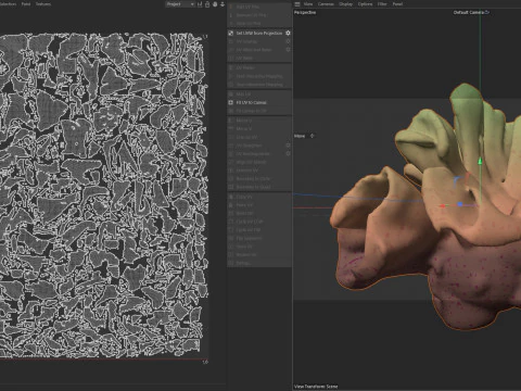 Recife de coral v9 Modelo 3D