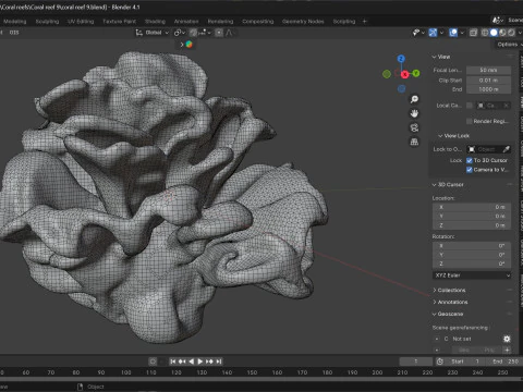 Recife de coral v9 Modelo 3D