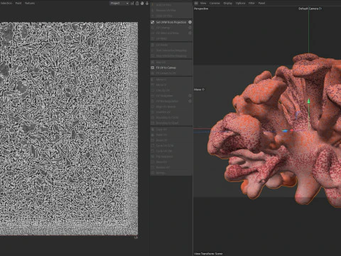 Coral reef v10 3D Model