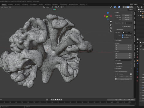 Coral reef v10 Modèle 3D