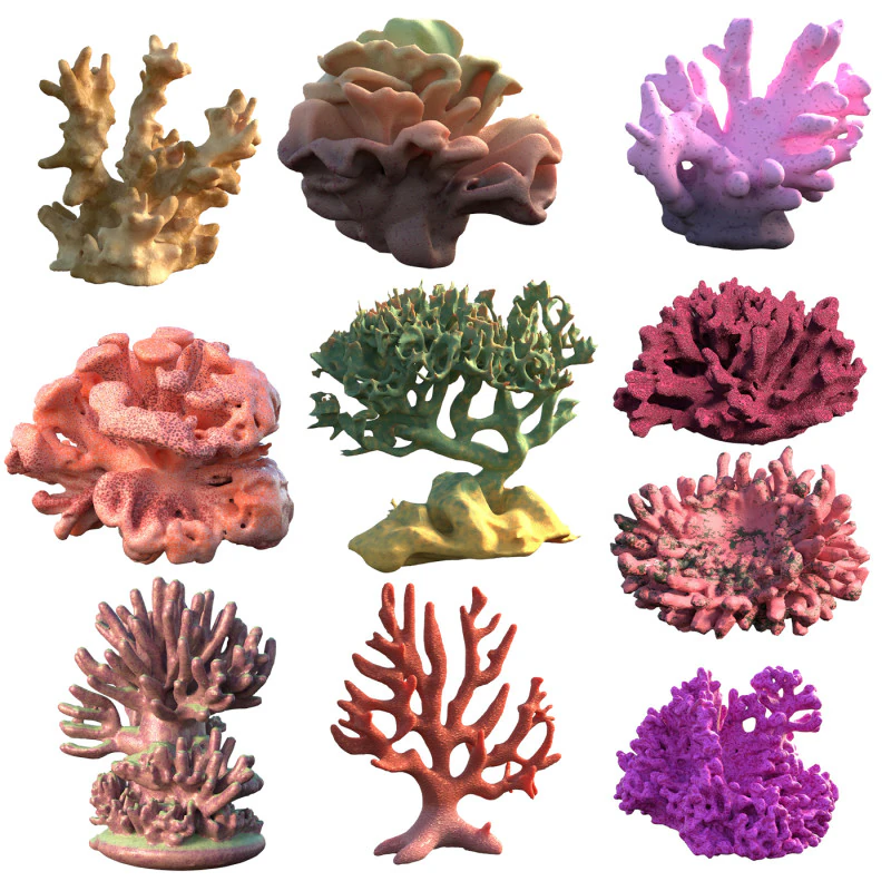 Coral Reef Collection 3D Model .c4d .max .obj .3ds .fbx .stl .blend