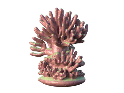 Coral Reef Collection Modelo 3D