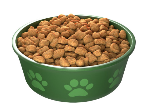 Dog food bowl Modello 3D