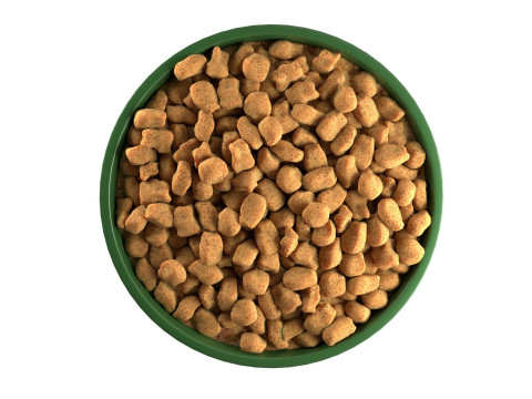 Dog food bowl 3D मॉडल