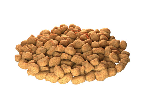 Dog food bowl 3D मॉडल