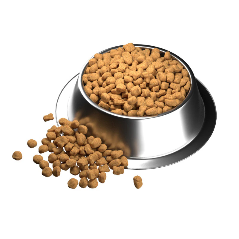 Dog food bowl 3 3D Model .c4d .max .obj .3ds .fbx .stl .blend 