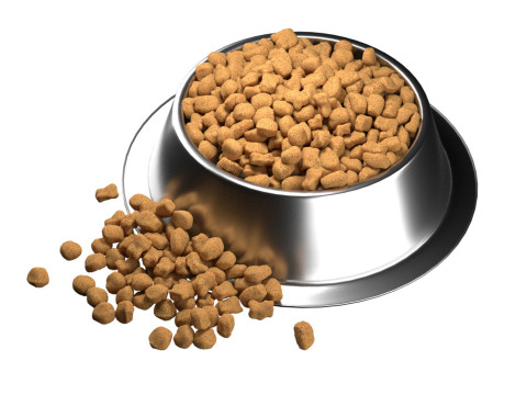 Dog food bowl 3 Modello 3D