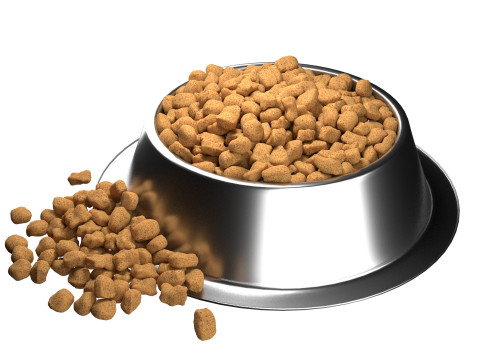 Dog food bowl 3 Modelo 3D