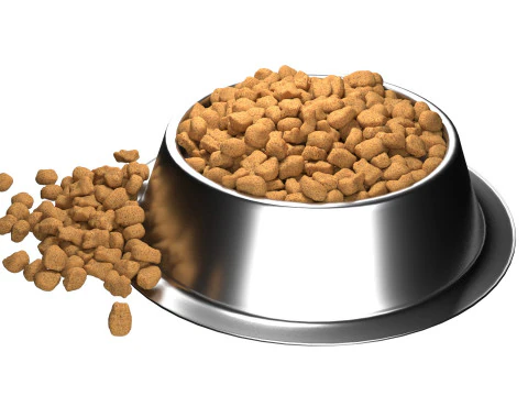 Dog food bowl 3 3D Model