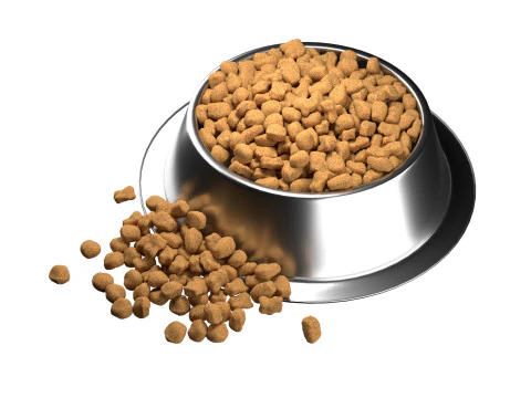 Dog food bowl 3 3D Model