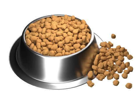 Dog food bowl 3 3D Model