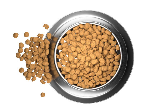 Dog food bowl 3 Modelo 3D