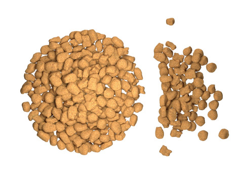 Dog food bowl 3 Modelo 3D